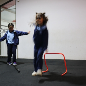 Día de la Actividad Física